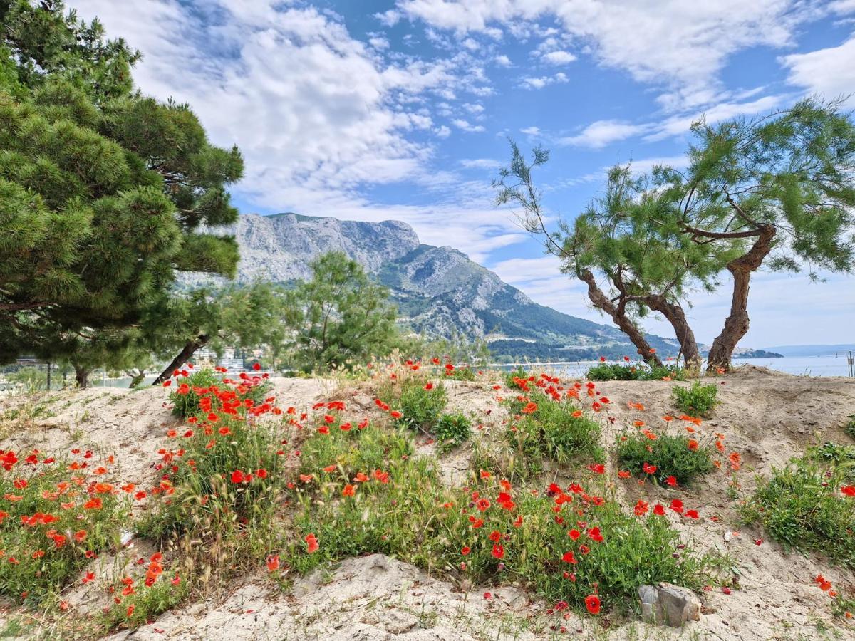 River Breeze * Omiš